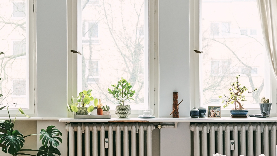 Bright home interior with plants on the windowsill