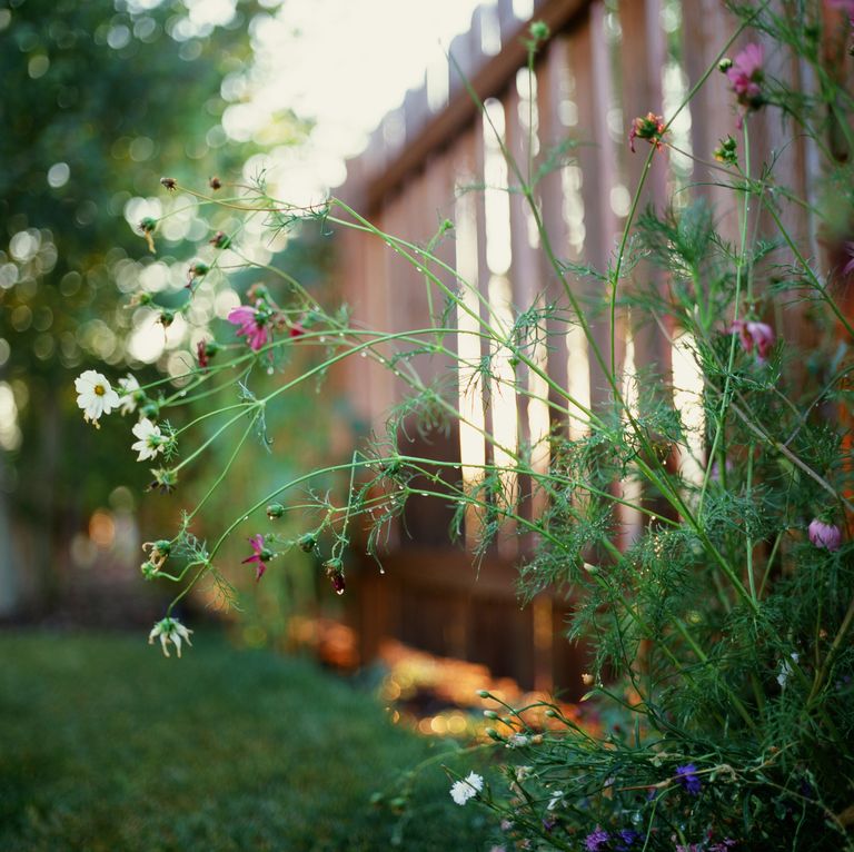 15 garden design ideas to make the best of your outdoor space