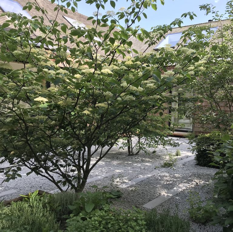 15 garden design ideas to make the best of your outdoor space