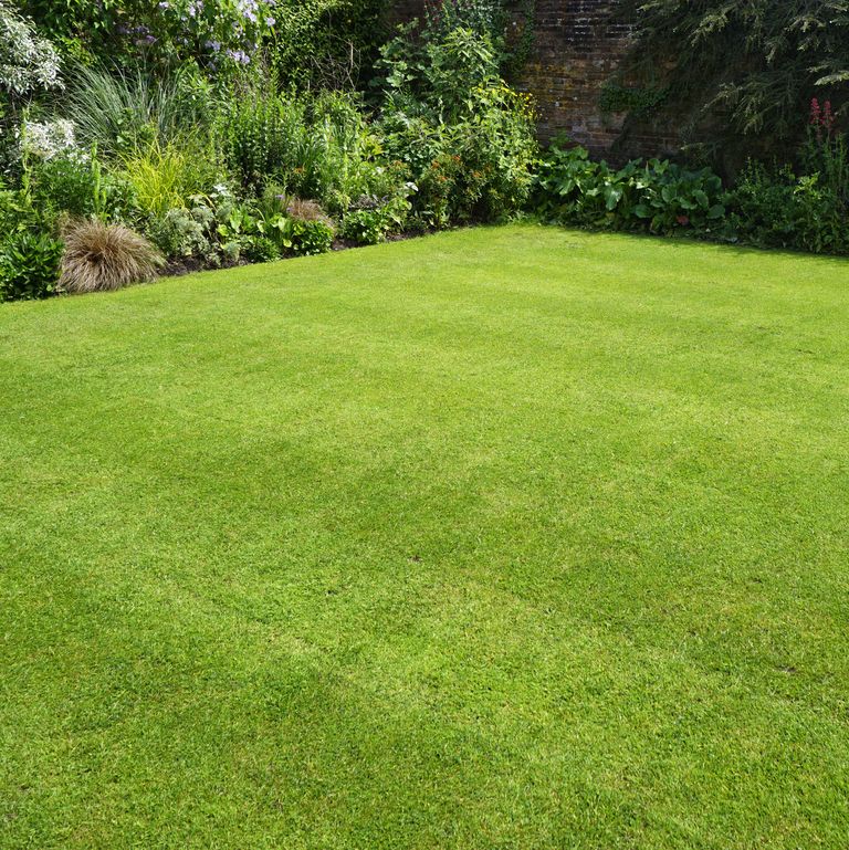 15 garden design ideas to make the best of your outdoor space