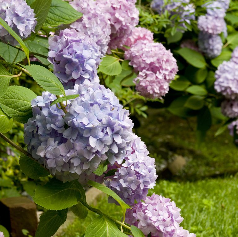 15 garden design ideas to make the best of your outdoor space