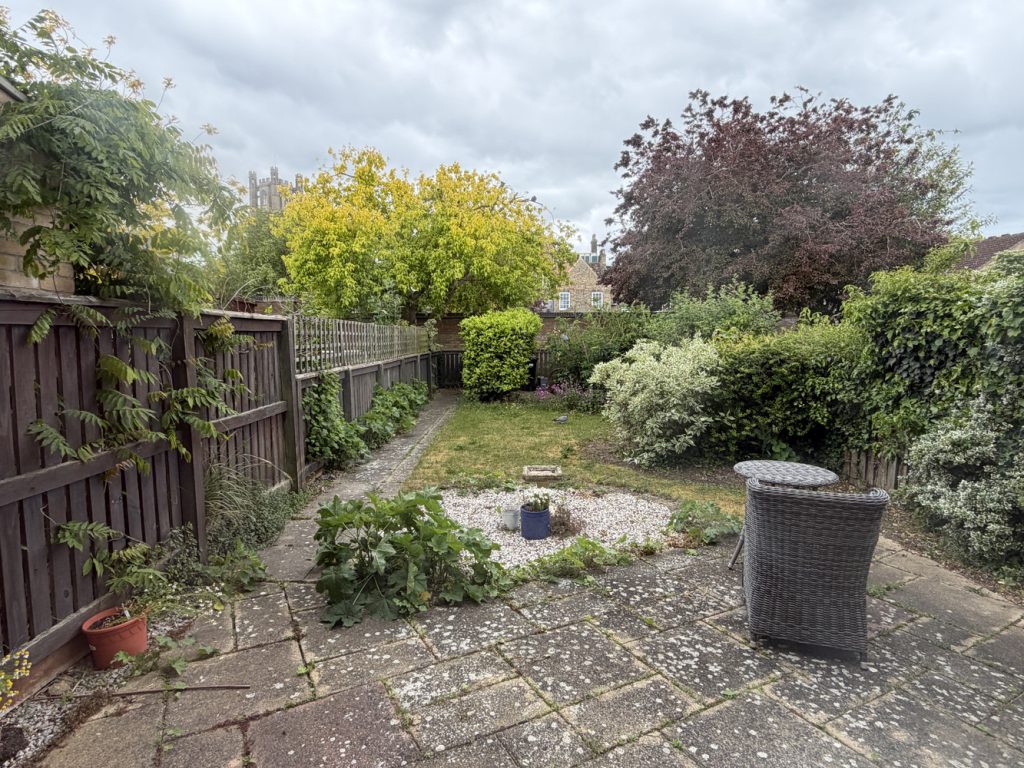 garden 1.JPG