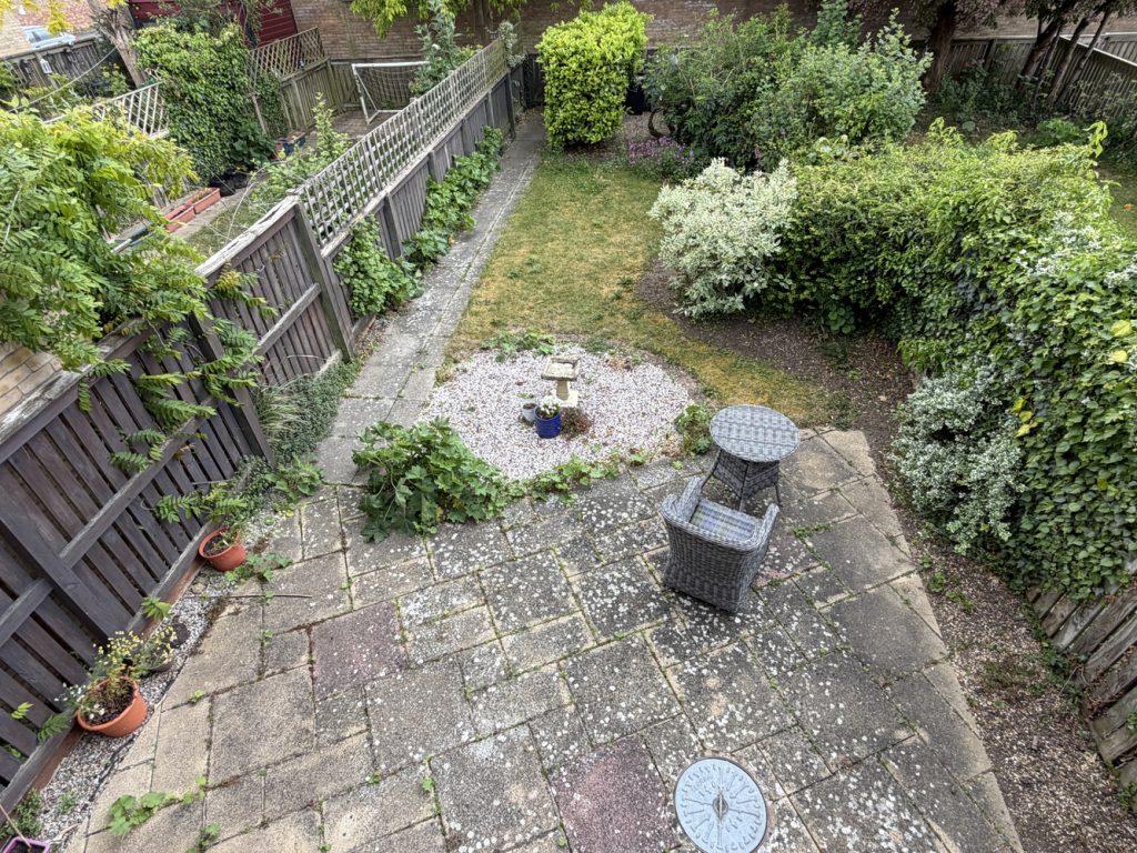 garden 2.JPG