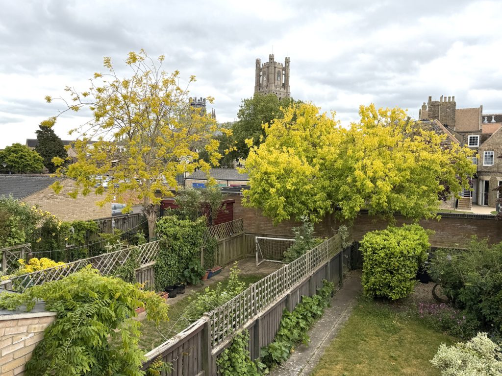 view.JPG