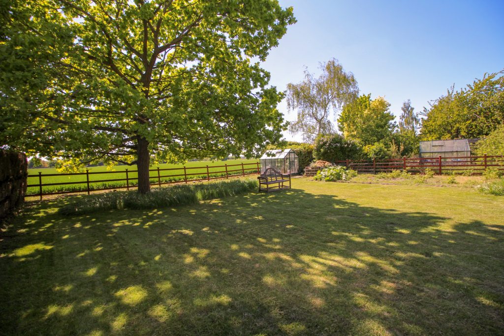 Rear garden