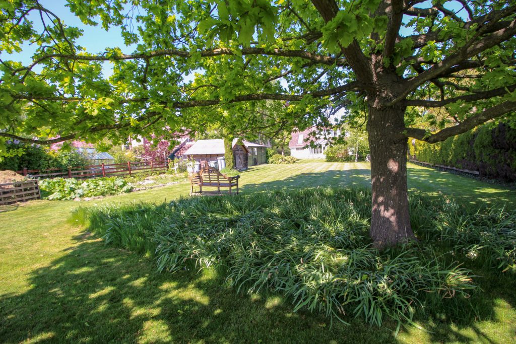 Rear garden