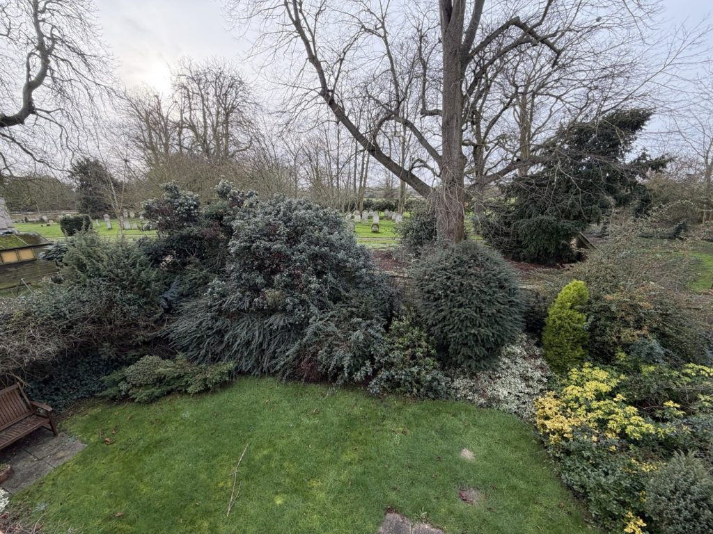 Garden view