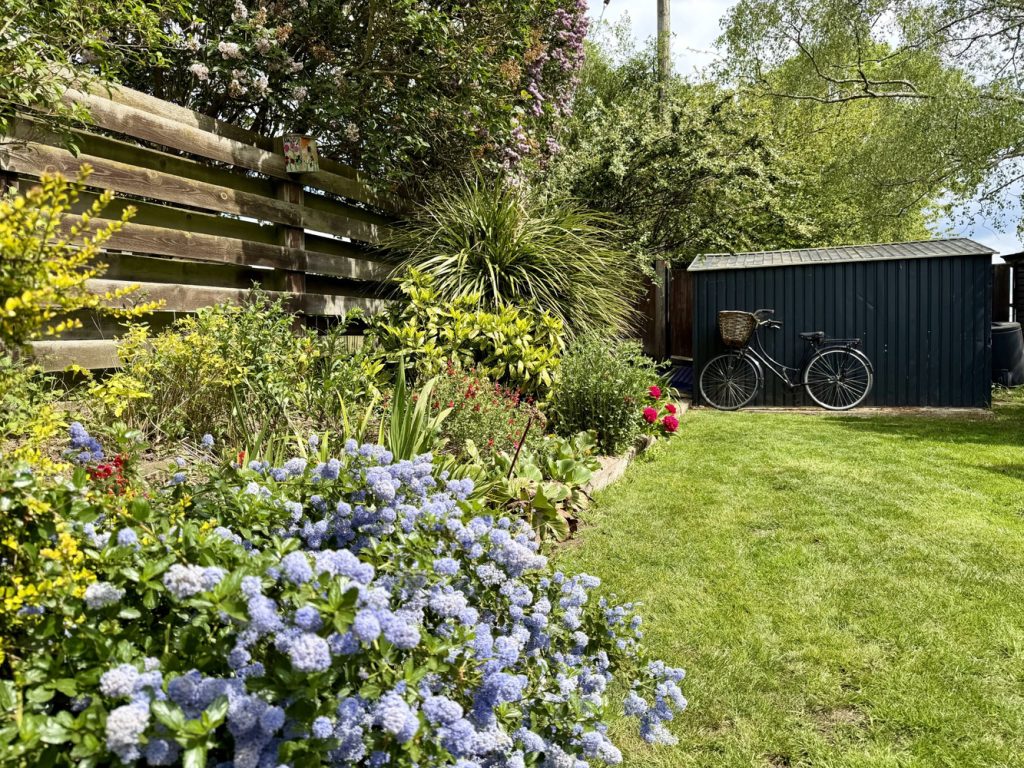 Garden 7